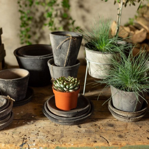 Handcrafted terracotta saucers in aged Tuscan style, perfect for plant drainage and enhancing home decor. Set of 6 total.