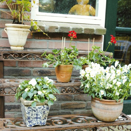 Elegant cast iron rectangular etagere with three spacious shelves, perfect for displaying decor, books, and plants.