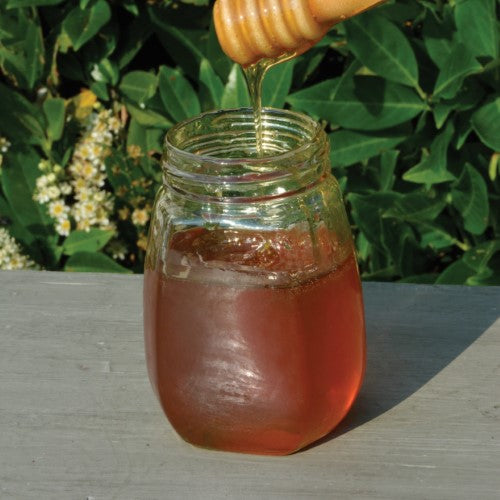 Wooden honey dipper, 2 x 17cm, designed for mess-free honey dispensing and adding rustic charm to your dining table.