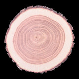 Disposable paper placemats with Tree Trunk design, 38cm, set of 10, eco-friendly for easy cleanup and stylish dining.