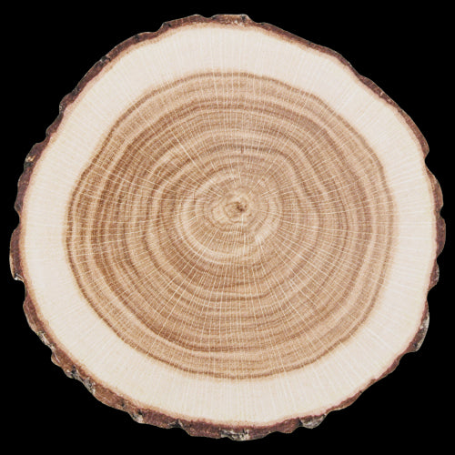 Set of 10 disposable paper coasters in tree trunk design, 10cm diameter, perfect for protecting surfaces at gatherings.