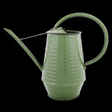 Elegant indoor watering can with a long nozzle, ergonomic handle, and durable zinc coating for precise plant care.