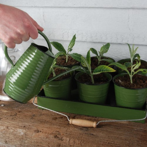 Ergonomic indoor watering can with a long nozzle for precise watering, featuring a stylish powder-coated finish.