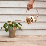 Self-adhesive copper tape for gardens, deters snails and ants with mild electric shock and disrupts scent trails.
