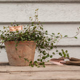 Set of 6 copper plant labels with iron sticks, perfect for durable and personalized garden organization.