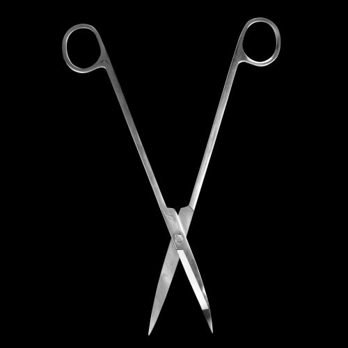 Set of 3 stainless steel terrarium scissors with 25cm long curved blades for precise plant trimming and shaping.