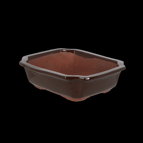 Bonsai Pot - Rectangular Medium 26 x 20 x 8cm (Set of 4)