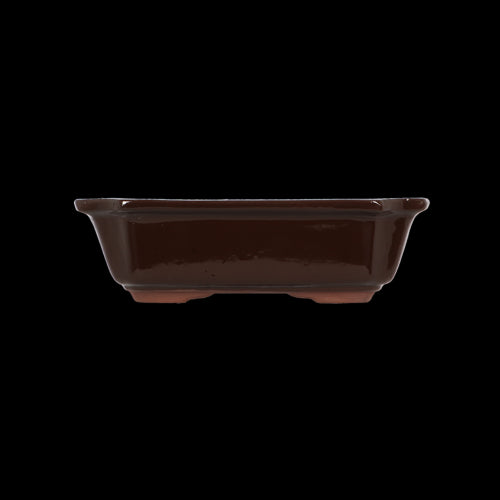 Bonsai Pot - Rectangular Medium 26 x 20 x 8cm (Set of 4)