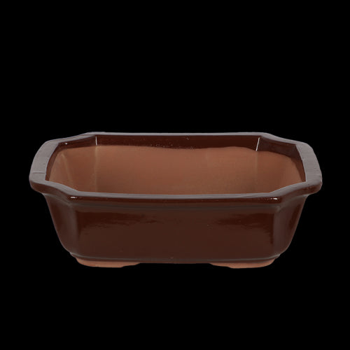 Bonsai Pot - Rectangular Large 31 x 25 x 10cm (Set of 2)