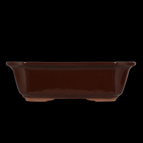 Bonsai Pot - Rectangular Large 31 x 25 x 10cm (Set of 2)