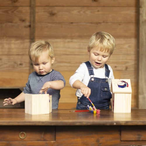 DIY Nesting Box with Paint, customizable birdhouse for small birds, made of wood, with three paint colors and easy access for cleaning.