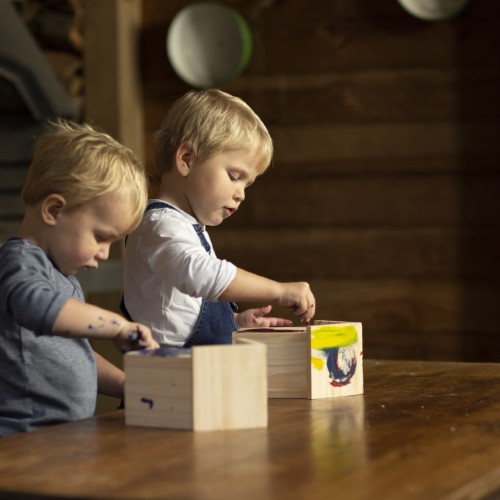DIY wooden birdhouse kit with three paint colors, designed for small birds; features easy access opening and dimensions 14 x 11 x 20cm.