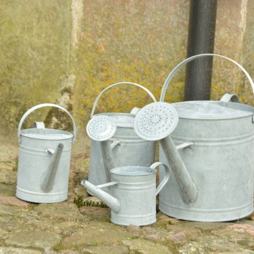Watering Can - Old Zinc Small 0.75L (Set of 3)