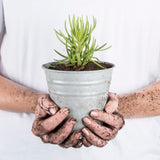 Set of 6 vintage-style 14cm zinc flower pots with drainage options, perfect for indoor or outdoor gardening.