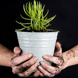 Set of six 14cm vintage-style zinc flower pots with drainage options, perfect for indoor or outdoor plants.