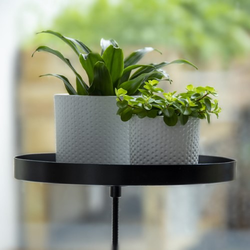 Large adjustable windowsill clamp tray in assorted designs, perfect for displaying plants or organizing decor.