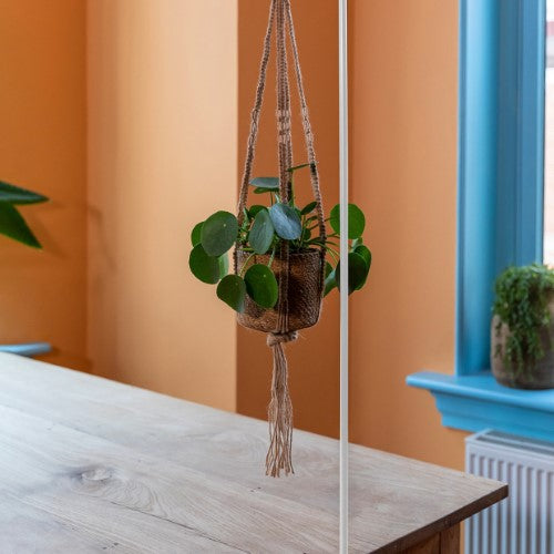 White table hook (112 x 22cm) for hanging plants and lights, adjustable for indoor and outdoor use, adds charm to decor.