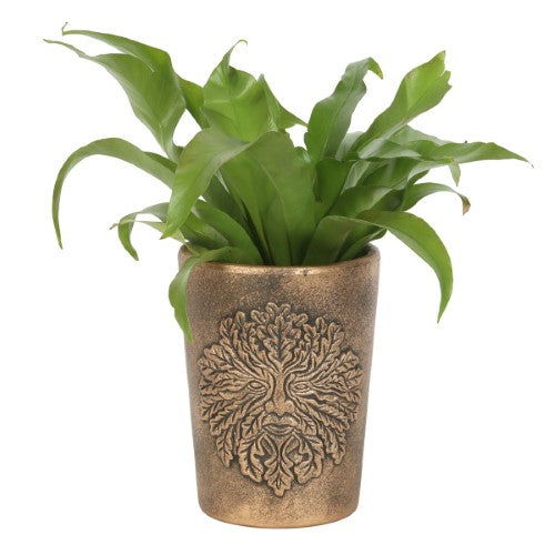 Green Man Bronze Terracotta Plant Pot by Lisa Parker, featuring intricate design, durable terracotta, and antiqued bronze finish.