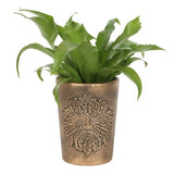 Green Man Bronze Terracotta Plant Pot by Lisa Parker, featuring intricate design, durable terracotta, and antiqued bronze finish.