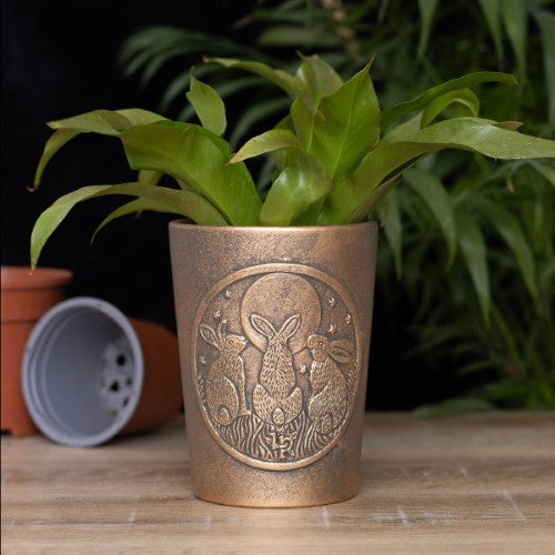 Alt text: Moon Shadows Bronze Terracotta Plant Pot by Lisa Parker featuring three moon-gazing hares in an antiqued finish.