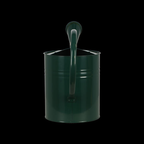 Green outdoor watering can (7.5L) with a long spout for precise watering, ergonomic handle, and detachable head for versatility.