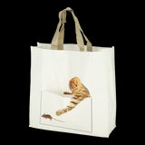 Assorted cat design shopping bags in a set of 24, perfect for eco-conscious cat lovers, durable and spacious at 40cm.