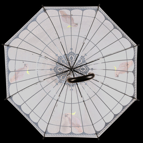 Umbrella - Transparent Birdcage