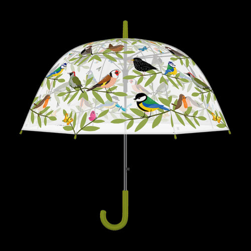 Umbrella - Transparent Bird Club 83 x 82cm (Set of 2)
