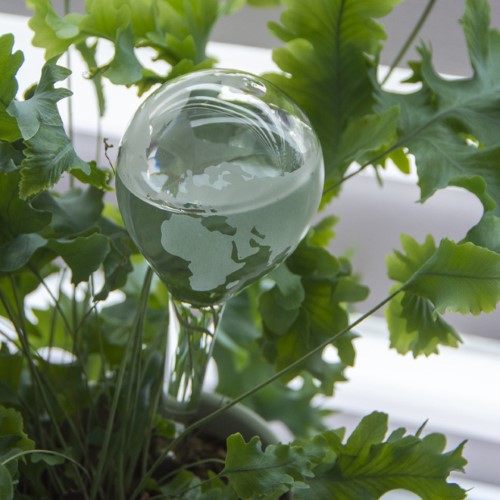 Stylish glass plant waterer globes, set of 2, ensures perfect hydration for your plants while enhancing home décor.