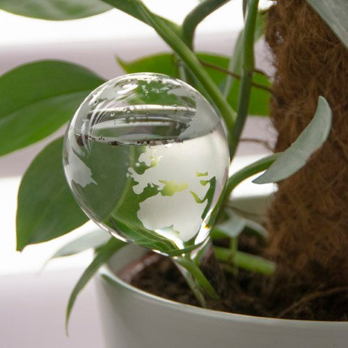 Set of 2 glass plant waterer globes with intricate etching for effortless self-watering and stylish home decor.