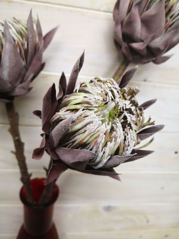 Medium artificial queen protea with a dry look, showcasing vibrant colors and realistic texture for elegant decor.