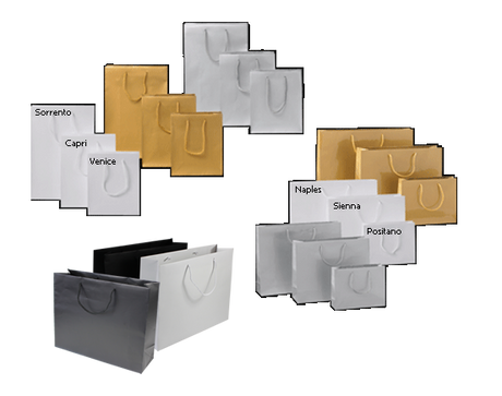 Medium white gift bags with rope handles, stylish matt finish, ideal for retail or party favors, 300x380x120mm, pack of 60.