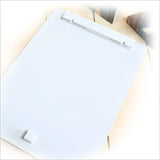Kiwiana Wall Art featuring a vintage-style fantail designed for durability, perfect for home decor or gallery displays.