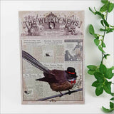 Vintage-inspired Kiwiana wall art featuring a fantail bird, printed on durable material, perfect for indoor and outdoor decor.