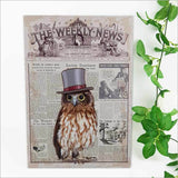 Vintage Ruru Morepork wall art showcasing New Zealand wildlife, crafted from durable ACM, perfect for adding Kiwi charm to any space.