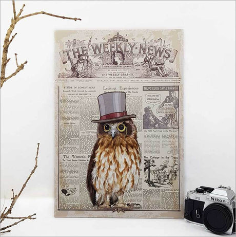 Kiwiana wall art featuring a vintage Ruru Morepork, crafted from durable ACM for vibrant and long-lasting decor.