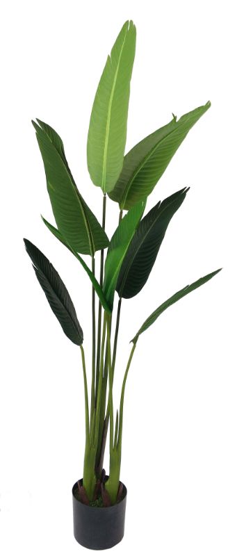 Lifelike 1600mm artificial banana tree adds tropical charm to indoor or outdoor spaces with vibrant, low-maintenance foliage.