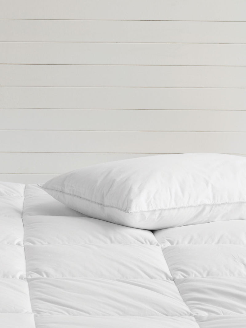 Superior Pillow by Savona  - Euro- White