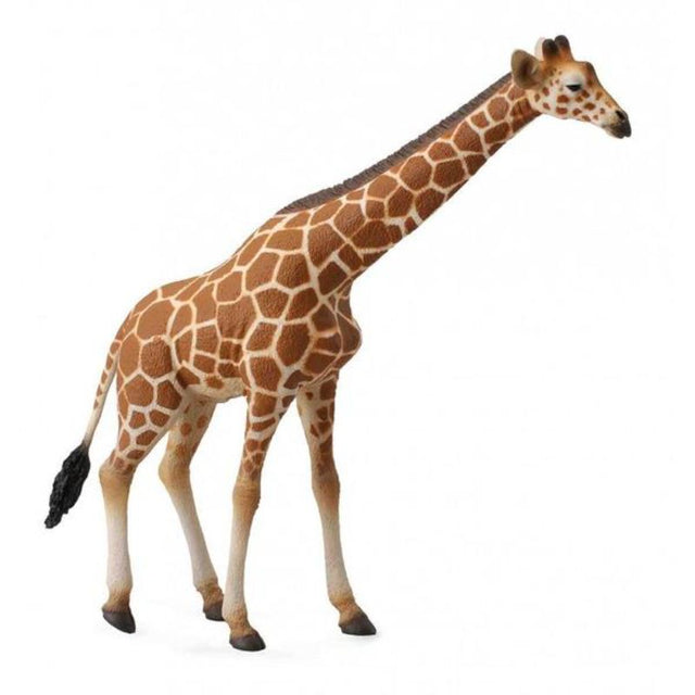 Hand-painted CollectA Reticulated Giraffe figurine, 15.5 cm tall, made of non-toxic vinyl, perfect for imaginative play and education.