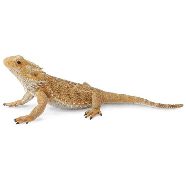 Realistic hand-painted CollectA Bearded Dragon Lizard figurine, perfect for collectors and educational play.