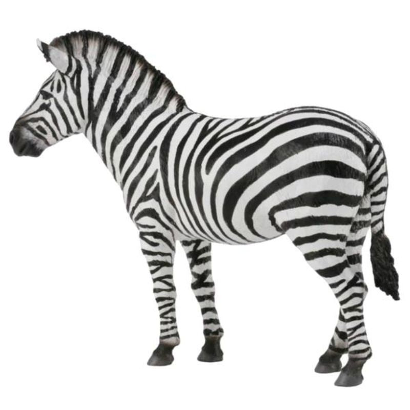 Detailed hand-painted CollectA Common Zebra figurine, perfect for play and education, made from safe, durable vinyl.