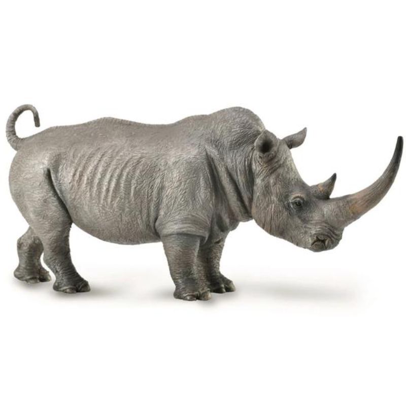 CollectA White Rhinoceros 2019