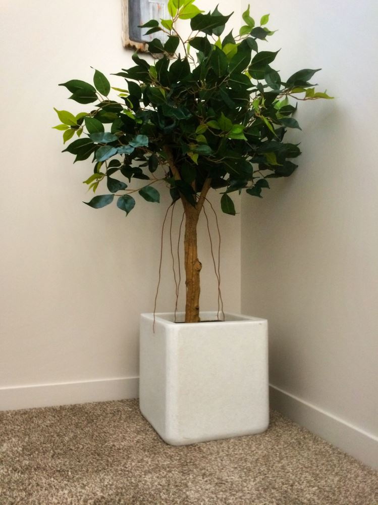 Realistic artificial Ficus tree measuring 1.1m tall, featuring a natural-looking trunk and branches, no watering needed.