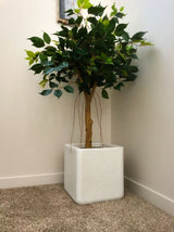 Realistic artificial Ficus tree measuring 1.1m tall, featuring a natural-looking trunk and branches, no watering needed.