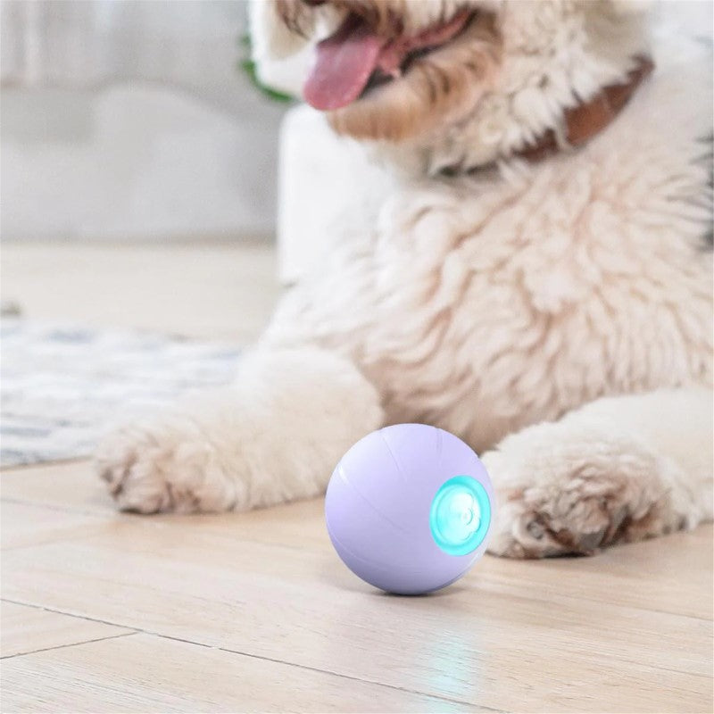 Interactive purple dog toy with bright LED lights and durable design for medium and large breeds, offering three fun play modes.