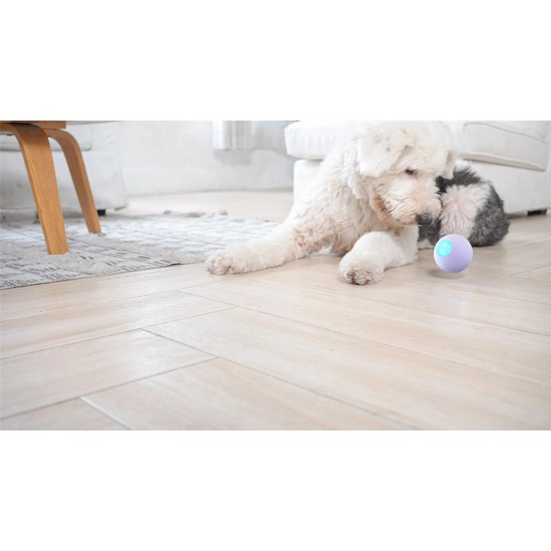 Smart purple dog toy with interactive modes, tough rubber shell, and dazzling lights for engaging play and exercise.