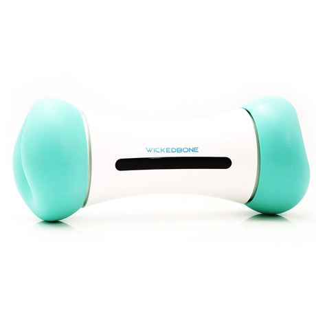 Smart interactive dog toy with app control, 9 motions, and USB rechargeable; combats boredom and promotes play.