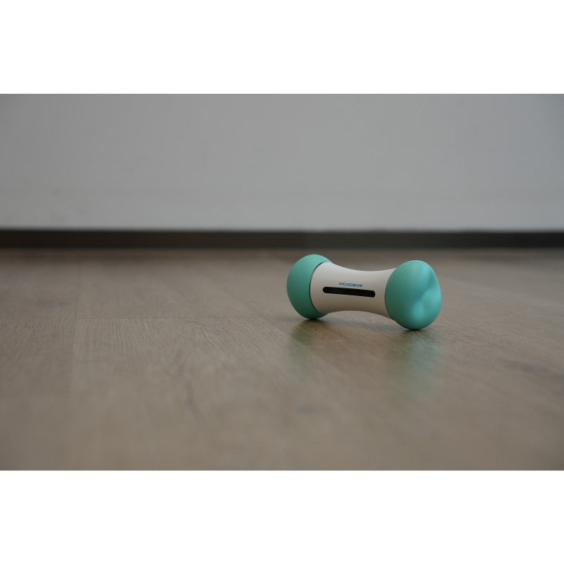 Smart interactive dog toy, Cheerble Wicked Bone SE Mint, designed for engaging play and exercise via smartphone control.