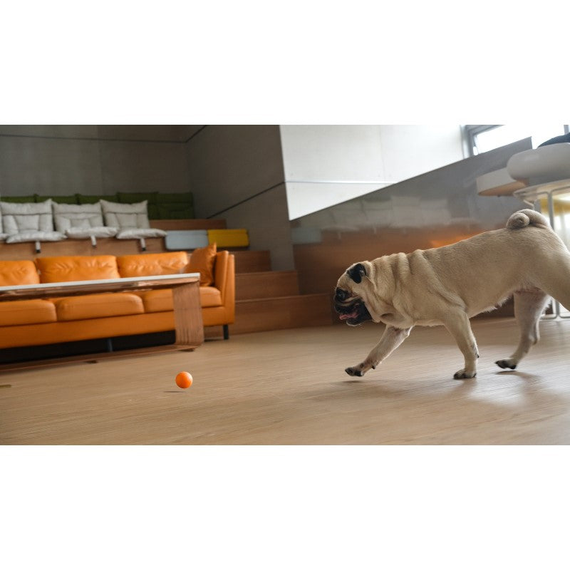 Vibrant orange interactive ball toy for small dogs, made from eco-friendly rubber, featuring three engaging play modes.