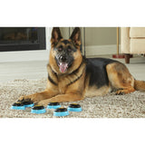 Set of 6 interactive talking buttons for pets, enabling communication with essential phrases like "Outside!", "Play!", and "Love You!".